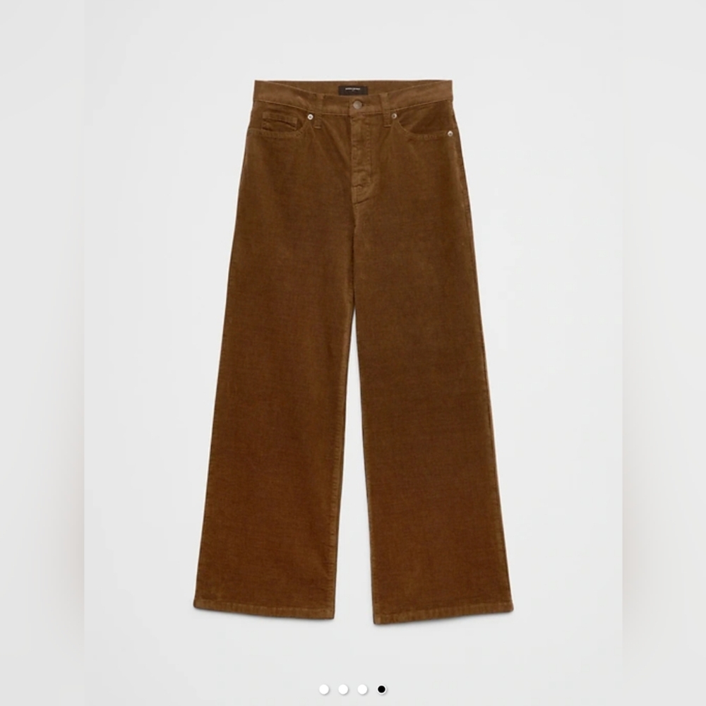 Banana Republic Brown Wide Leg Corduroy Pants | NWT | 26/2